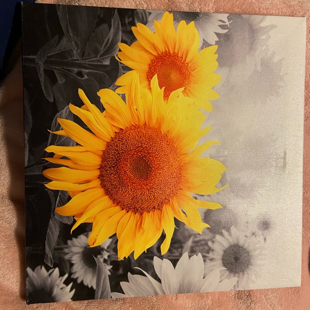 Sunflower canvas for sale